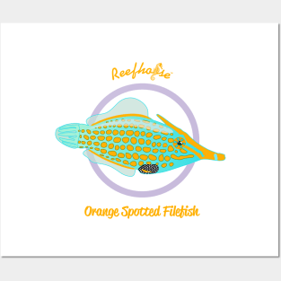 Orange Spotted Filefish Posters and Art